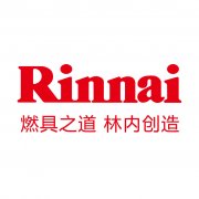 <b>林内(rinnai)壁挂炉点不着火，不出热水故障原因自助排查与维修</b>