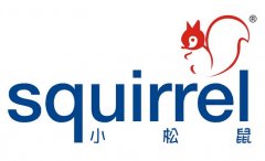 <b>小松鼠(squirrel)壁挂炉点不着火，不出热水故障原因自助排查与维修</b>